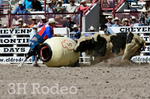 _DSC1250