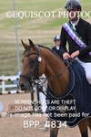 BPP_4834
