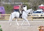 BPP_9032