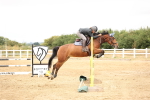 SBM_023867