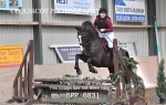 BPP_6831