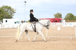 SBM_03399