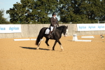 SBM_16375