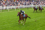 230923-Race 2-Palamon-5252