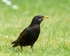 20110429-IMG_5161