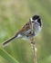 20110619-IMG_6067