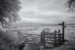 Wolds Way View