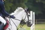 Sunday 18th - Ariat Arena portfolio
