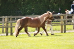 SBM_02446