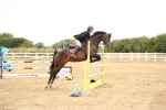 SBM_023742