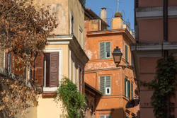 Climbing plants on buildings in Rom, Italy.
