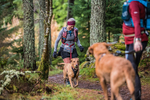 Glentress-2406