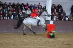 SBM_003945