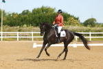 SBM_007013
