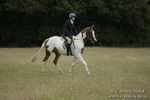Bourne Valley Riding Club Summer Show 23/06/19 portfolio