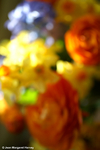Flowers 16 - 06