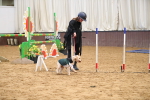 SBM_001040