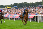 260725-Race 1-Golden Palace-0204