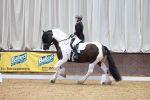 SBM_002364