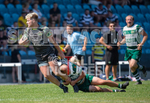Rugby Sevens Festival 2020-4