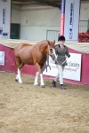 SBM_18551