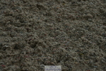 230708A-141028-02887