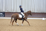 SBM_003684