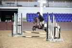 SBM_000190