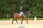 261-TATTLER-Eugena.Barker-DR portfolio