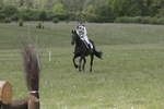 BVHT 140517  IXC -835