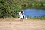WJ6_7149
