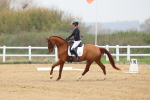 SBM_006610