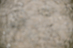 SBM_002974