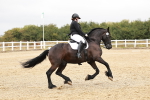 SBM_001913