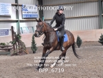 BPP_6719