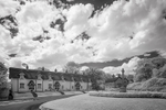 Warter Cottages