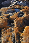 GeorgianBay11-038