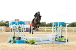 SBM_019058