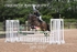 BPP_0557