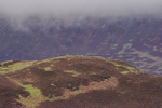 British Fell Relay-669
