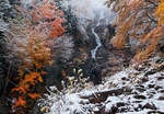 Silver & Snow II