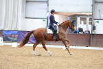 SBM_001632