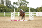 SBM_001642