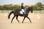 SBM_020396