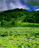 Loughrigg Tarn