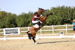 SBM_005600