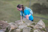 Inter Counties Women-361