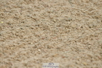230723A-141749-12889
