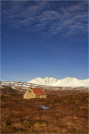 Highland Sunshine