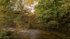 Autumn on the Scaur II